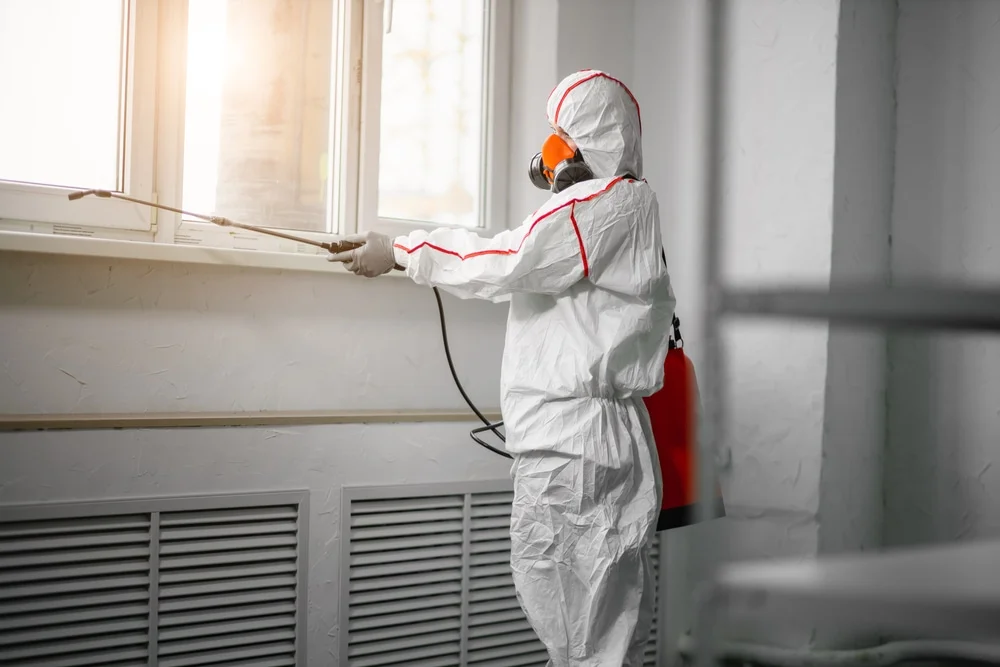 Professional mold remediation services in Sandy, UT